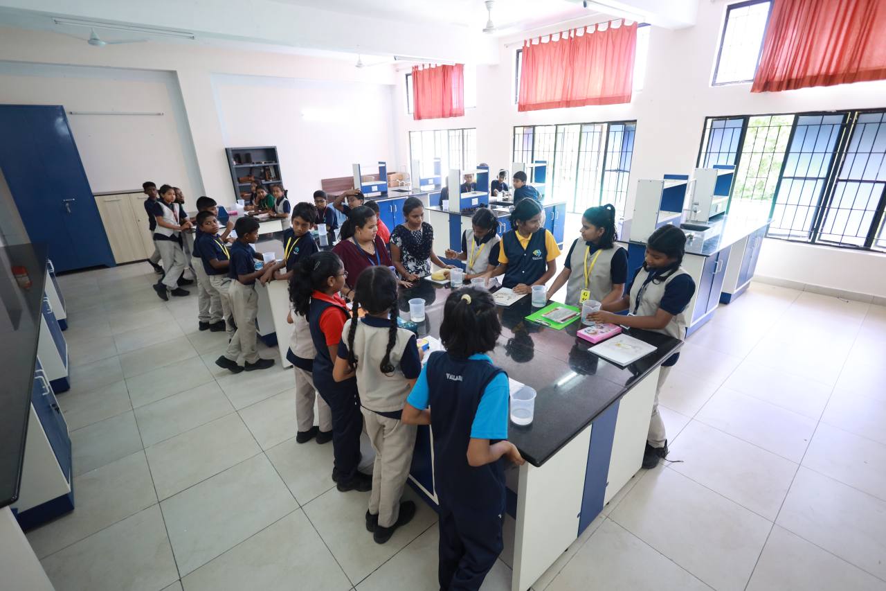 batch_3N7A2015